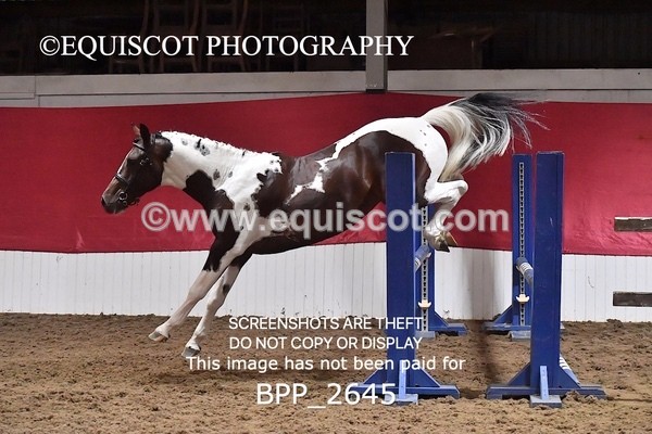 BPP_2645 - LOOSE JUMPING / SPSS