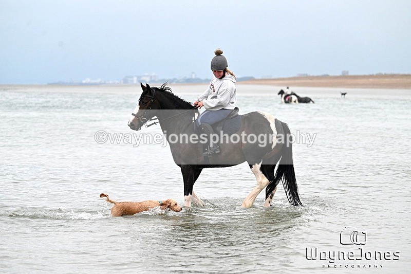 WJ7_9882 - Hayling Island Beach Shoot 22-09-24