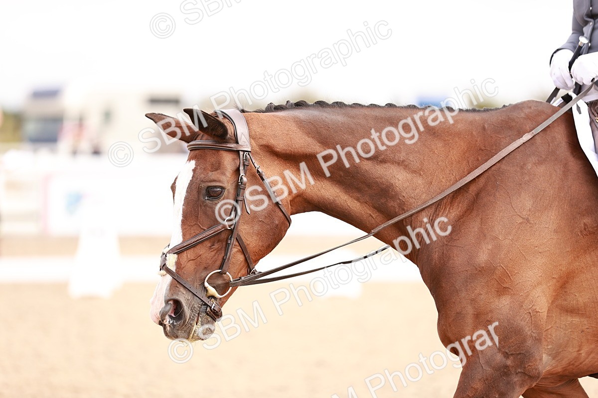 SBM_01793 - Class 34 - Prelim 3