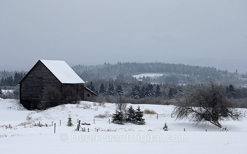 Vintage Vista - Old Barns & Buildings
