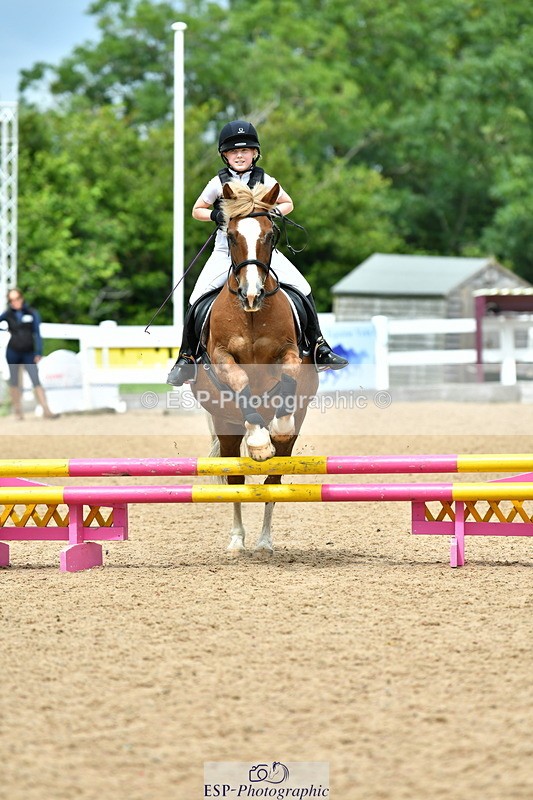 230804A-122853-02523 - Showjumping Competition