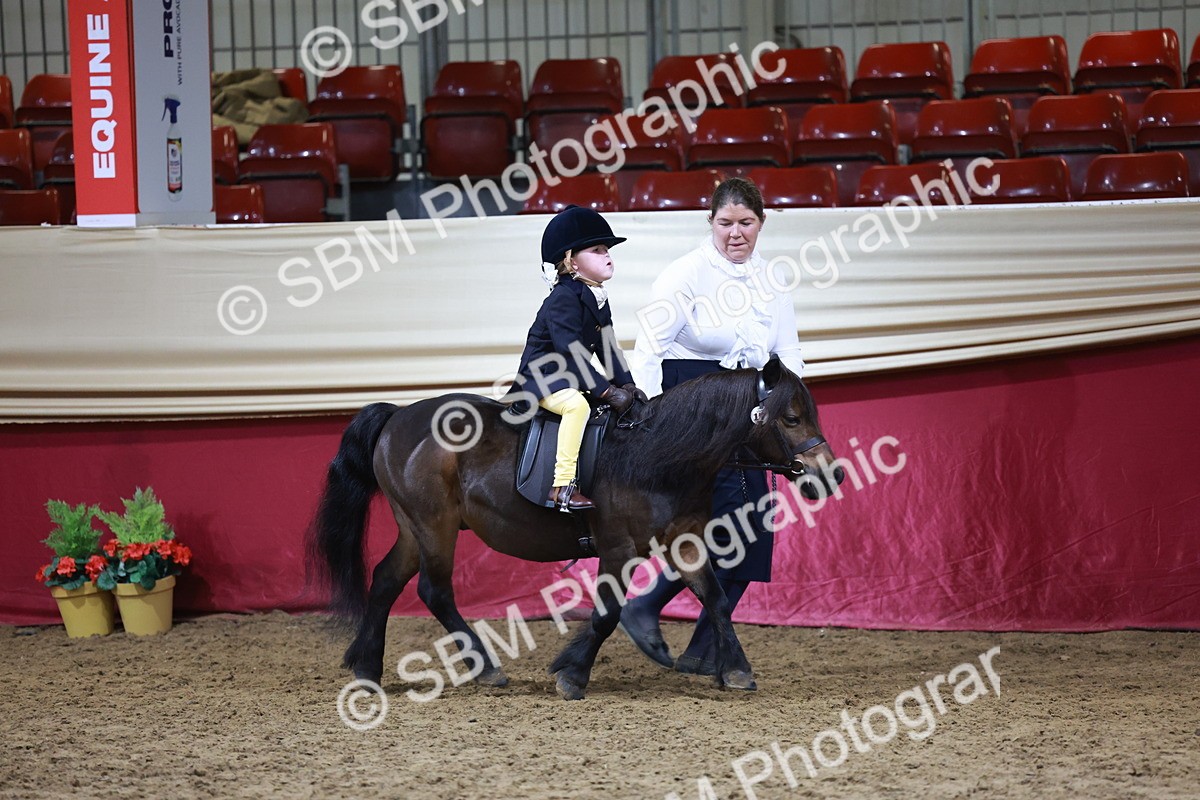 SBM_20333 - Class E - Best Turned Out Champ