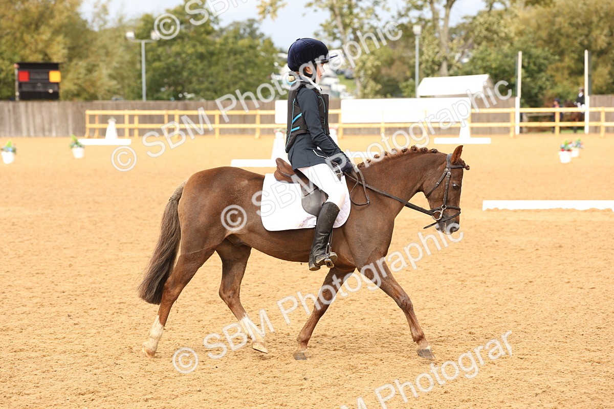 SBM_44171 - D6 - Small Tour Championship Intro 4