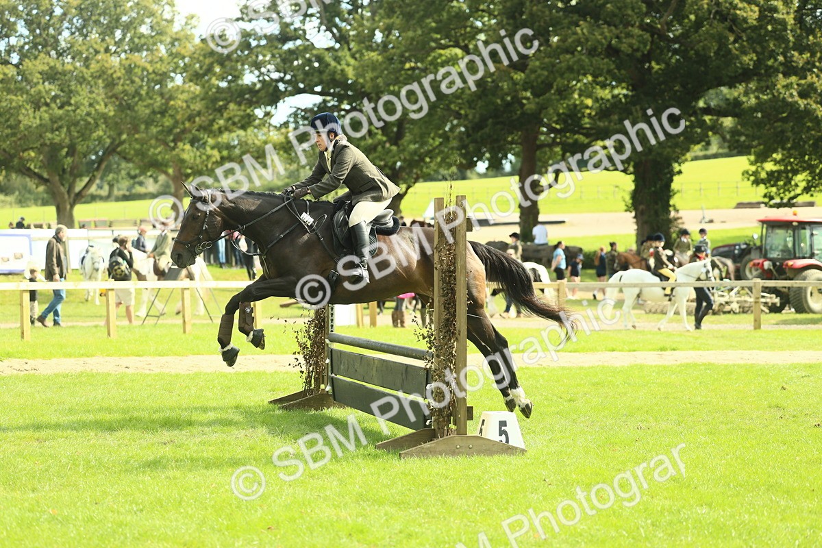 SBM_48022 - S32 - Novice & Newcomers Working Hunter
