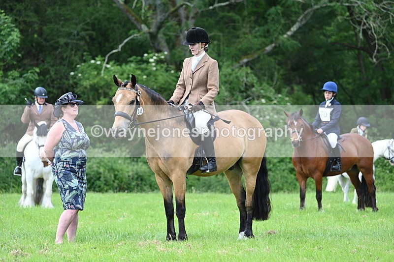 WJ7_1410 - Class 11 Condition & Turnout