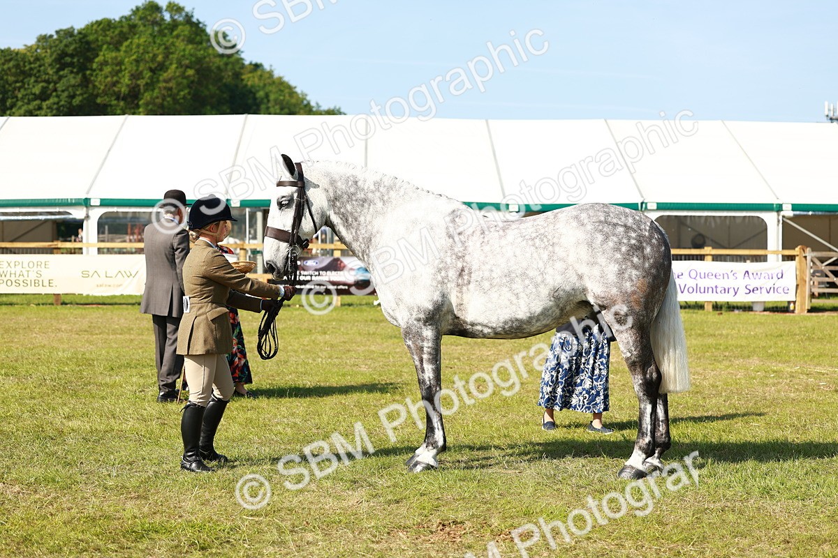 SBM_11812 - Class 66-69 - RIHS Ridden Hunters Inc Small Hunter