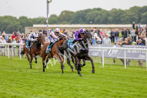 180523-Race 6-Cuban Thunder-7429 - Race 6 4.45pm Frank Whittle Partnership ebfstallions.com Maiden Stakes