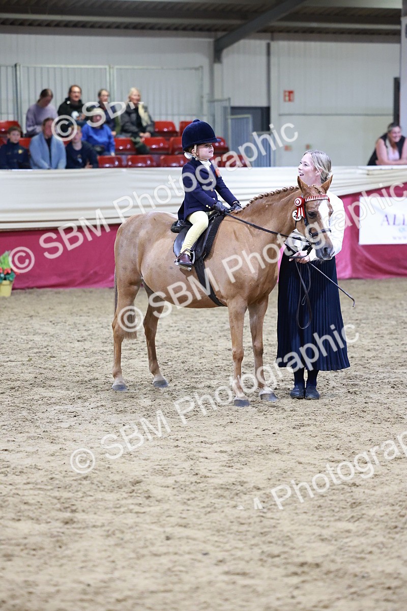 SBM_20572 - Class H - IH Competition - Riding Club champ