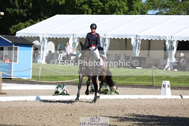 230526-092940-05079 - 355-JASON_KING-Izzy_Taylor-WEDTrotUp+DR