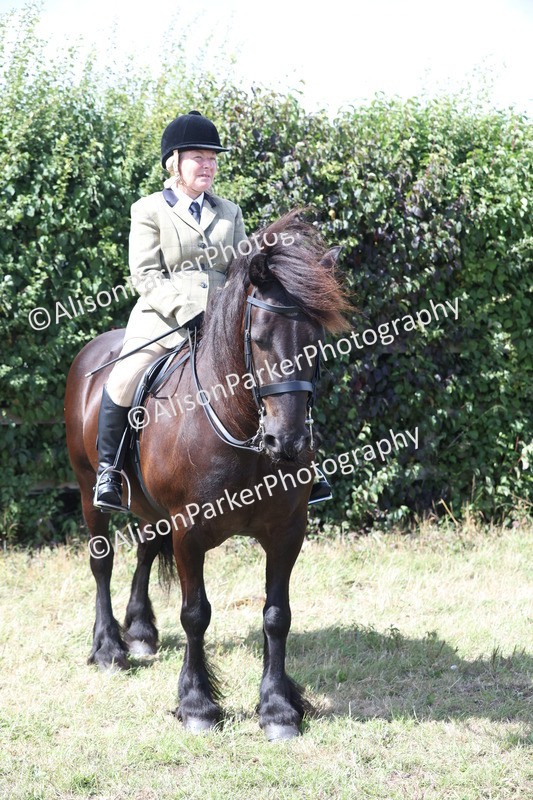 20250831-2981 - Class 19 - Mountain and Moorland