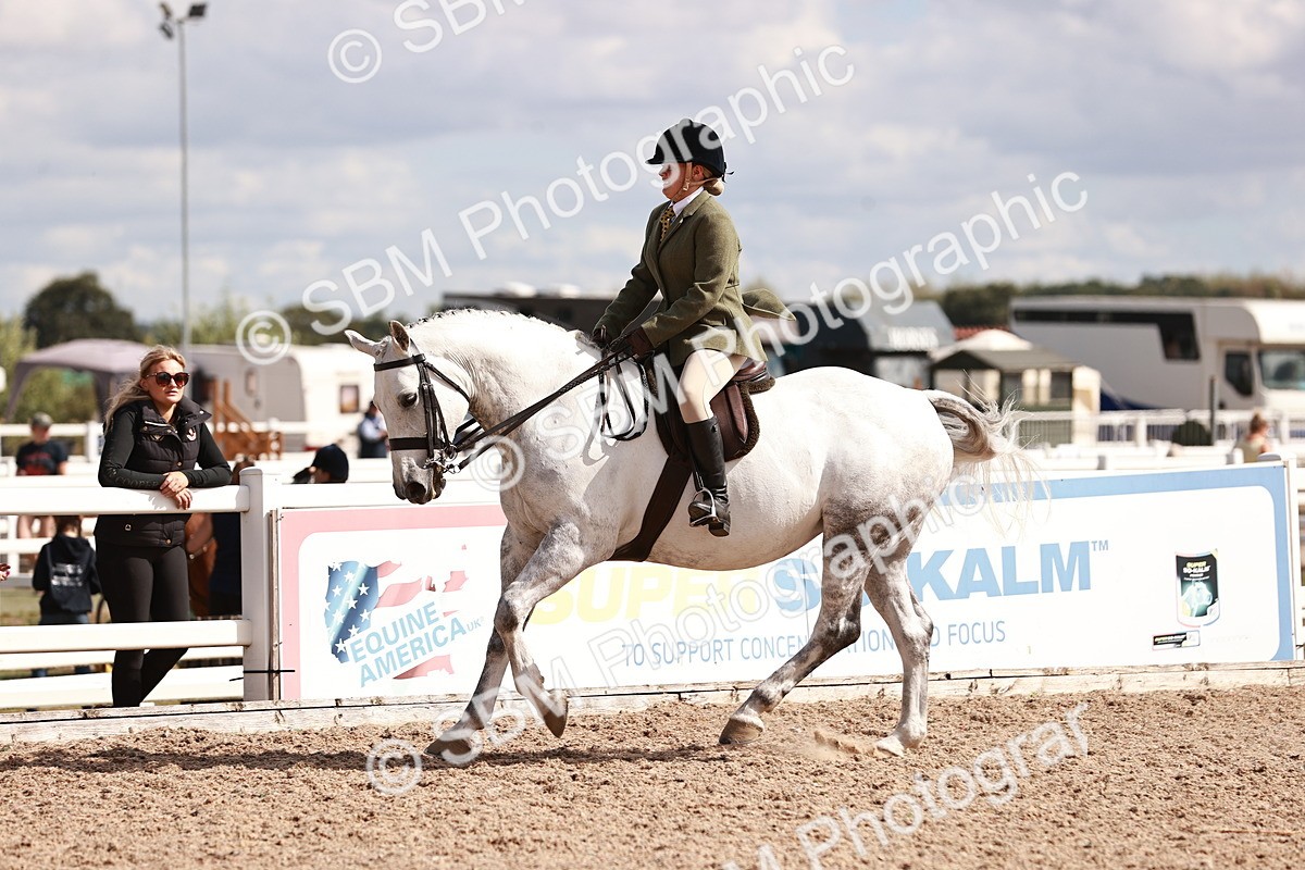 SBM_14445 - Class 410 - Grassroots Ridden - Horse