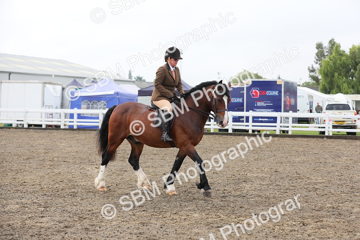 SBM_21366 - Class 805 - Ridden Veteran Horse