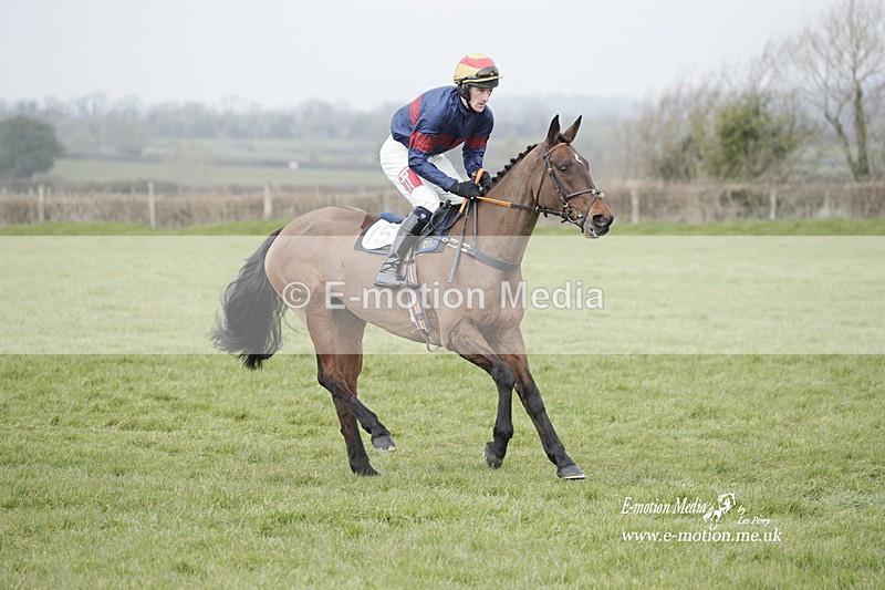PtP 050323 938 - Blackmore & Sparkford Vale Hunt PtP - Somerset 05/03/23