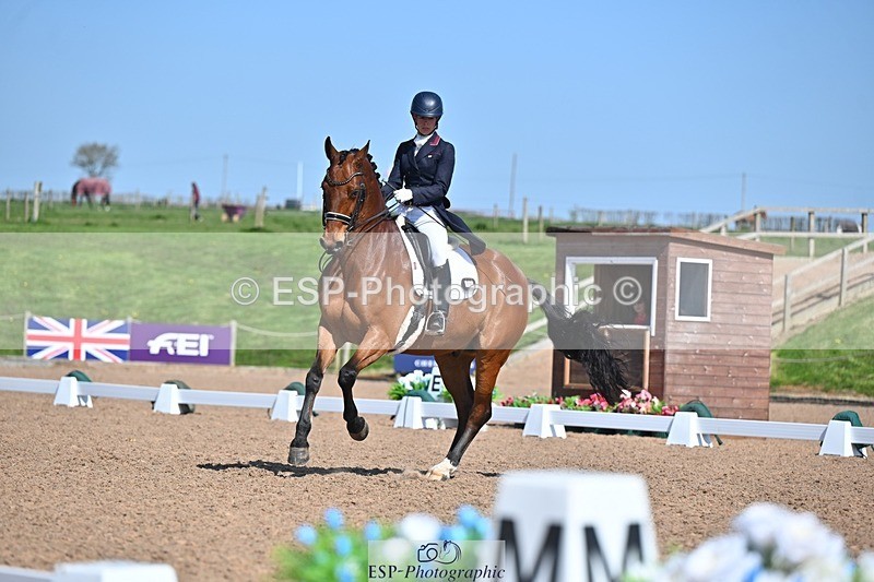 250405-130254-10821 - 028-Elizabeth.Allen-Heraldik