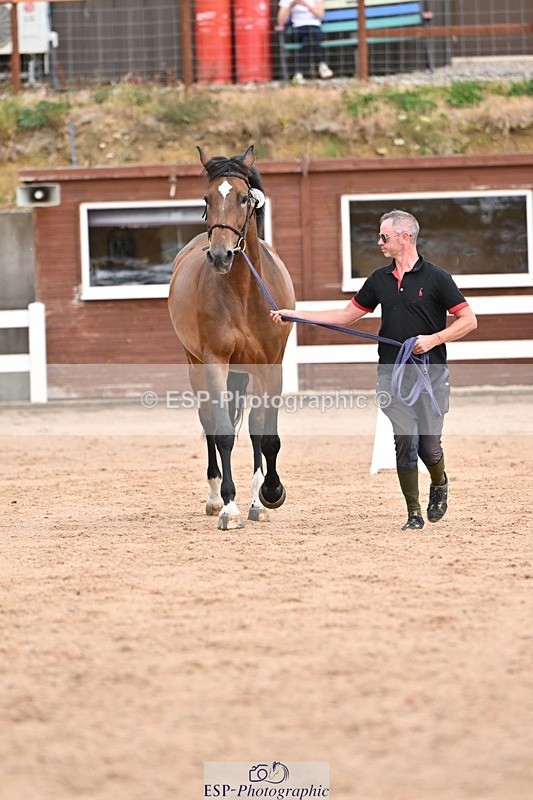 250716-151715-01840 - Trot Up 2.30 to 3.30