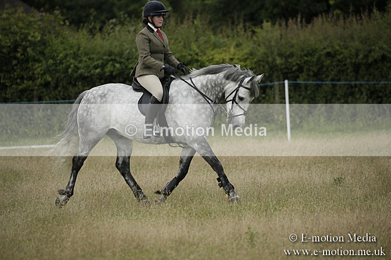 B230619-0132 - Bourne Valley Riding Club Summer Show 23/06/19