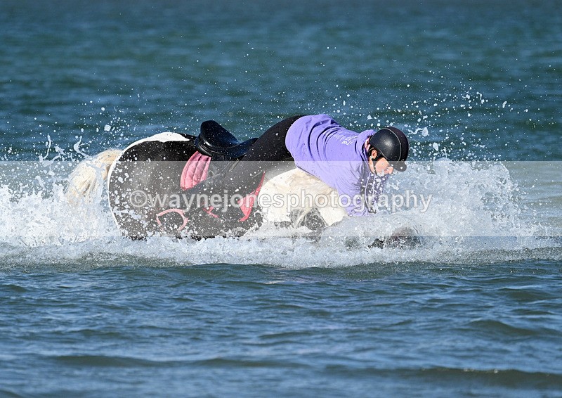 WJ7_3518 - Kellie & Churchill ... do Hayling Island 25-08-24