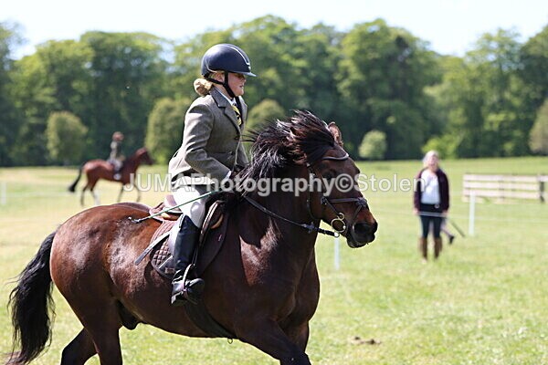 IMG_4274 - Working Hunter