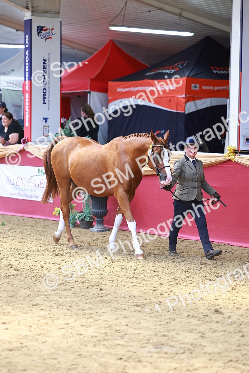 SBM_04086 - Class 9R - IH Pre-Vet