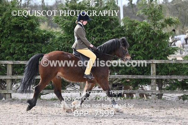 BPP_7599 - RING 1  (RIDDEN HORSES / IN HAND / VETERAN ETC)