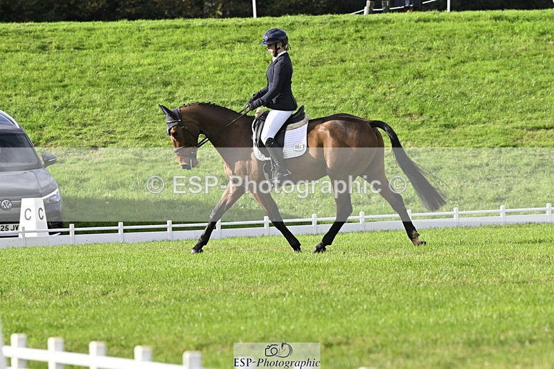 251023A-150727-04505 - E-386-Zara.Head