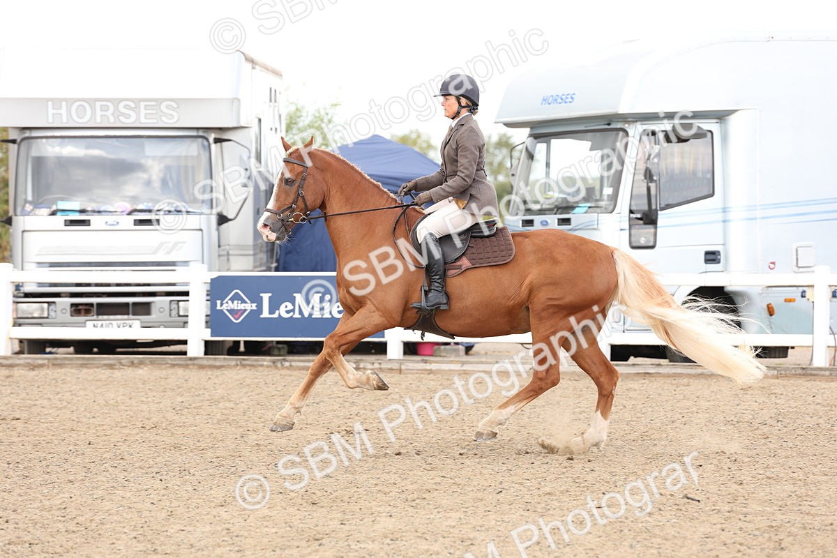 SBM_07481 - Class 59a -  Style & Performance - 80cm (15-19)