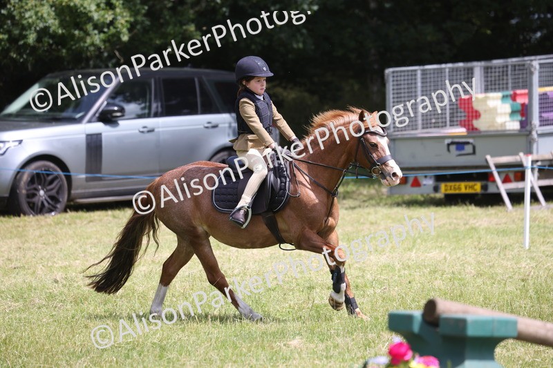 20260614-2018 - Class 21 - Novice Working Hunter Pony
