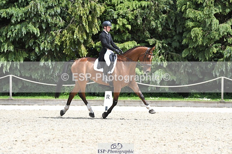 230525-140728-03093 - 318-JUST_HAVE_FAITH_TN-Alfie_Marshall-WEDTrotUp+DR