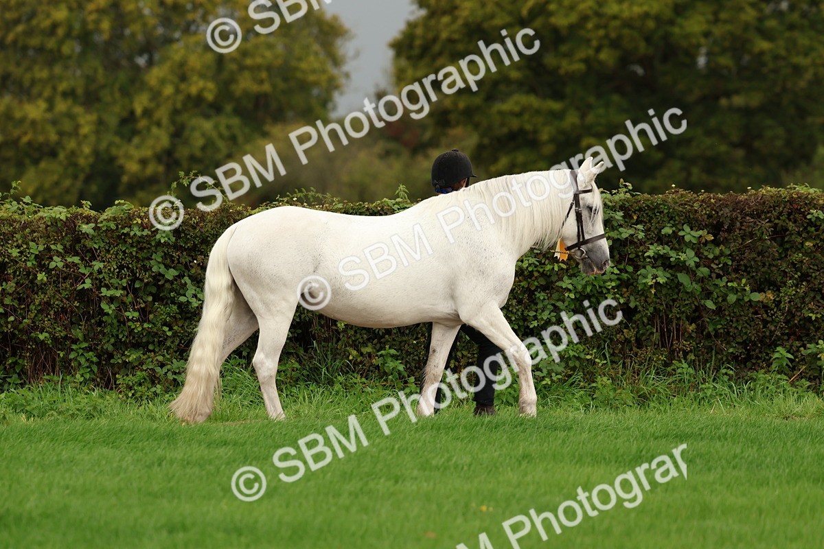 SBM_32906 - S8 - Best Turned Out