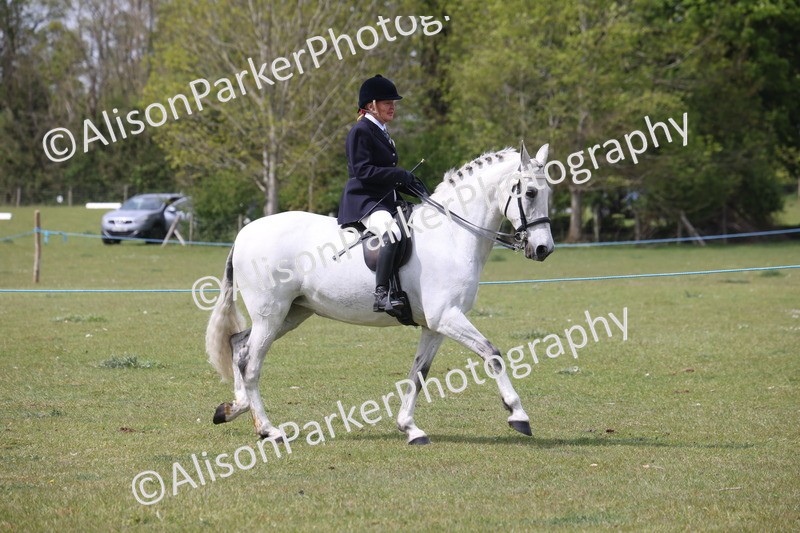 20260426-4298 - Class 34 - Best Riding Horse Over 14.2hh