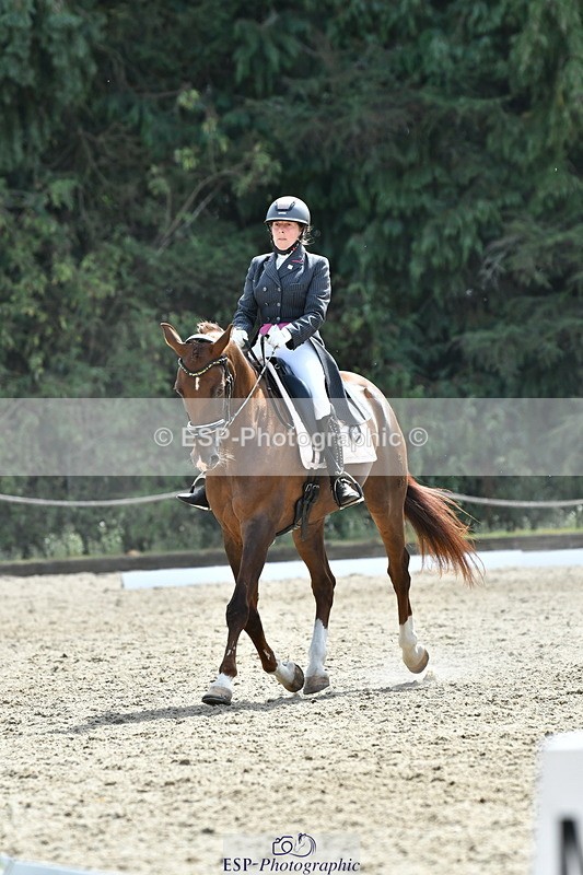 260802A-152344-07386 - Intermediate Bronze