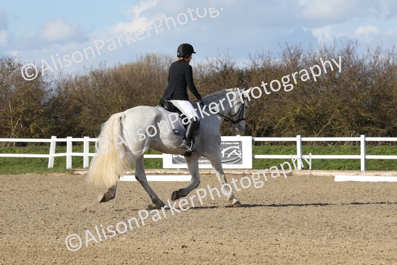 20260314-5111 - CT6 - Elementary 1