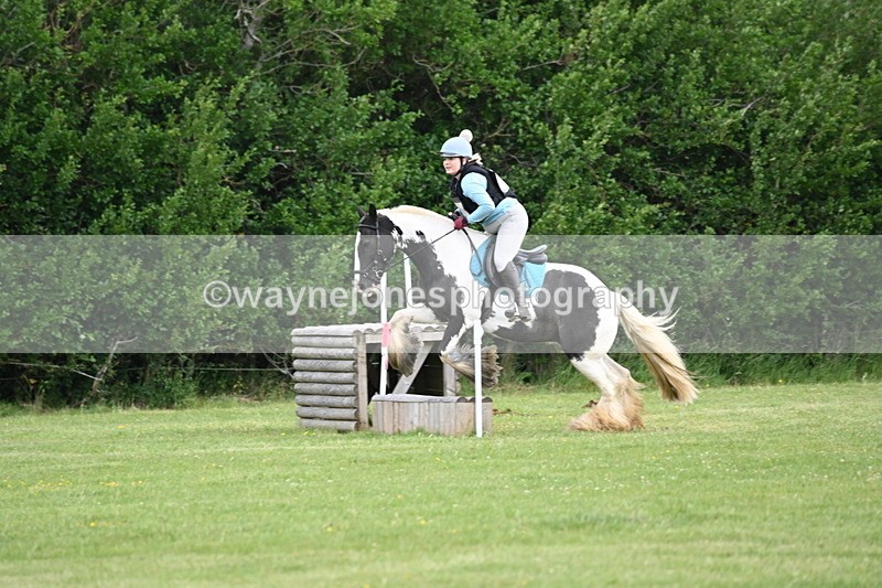 WJ6_2403 - Class 2 40cm