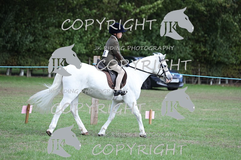 APP_4120 - Class 15a/b Pony club pony/Riding club horse