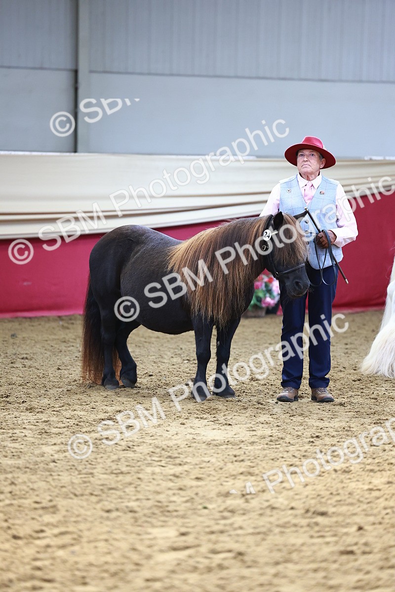 SBM_22339 - Class 902 - Supreme Final - IH Diamond