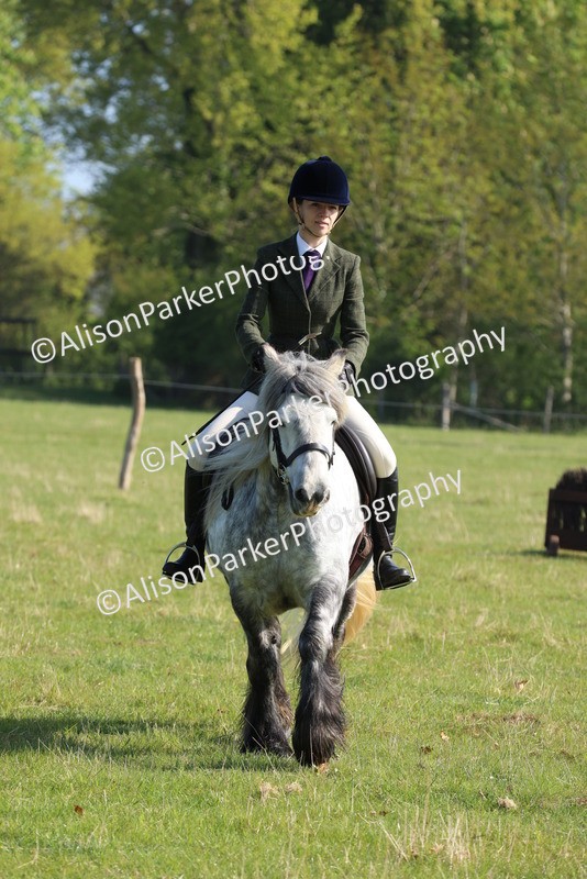 20250427-0553 - Class 17 - Novice Showing