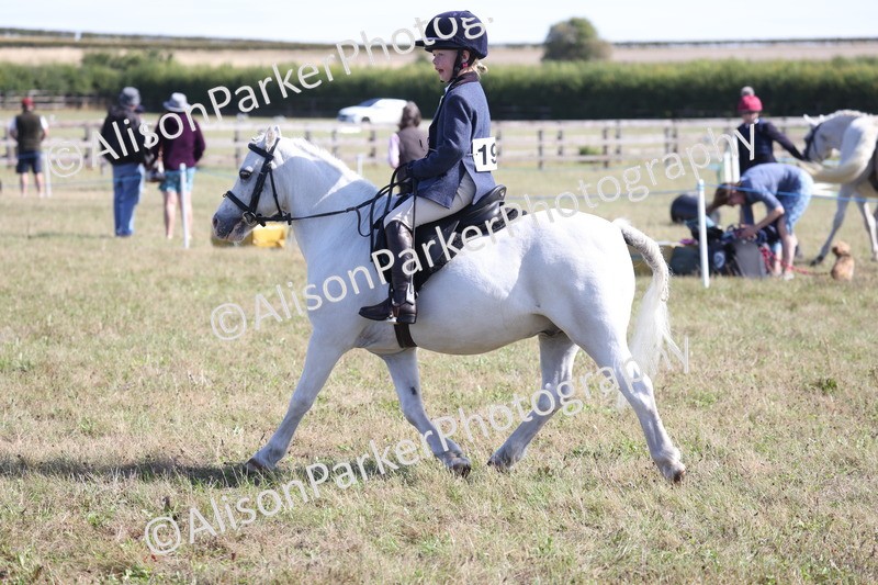 20260906-2215 - Class 16 - Family Pony
