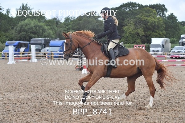 BPP_8741 - CLASS 3 Senior British Novice/ 90cm Open