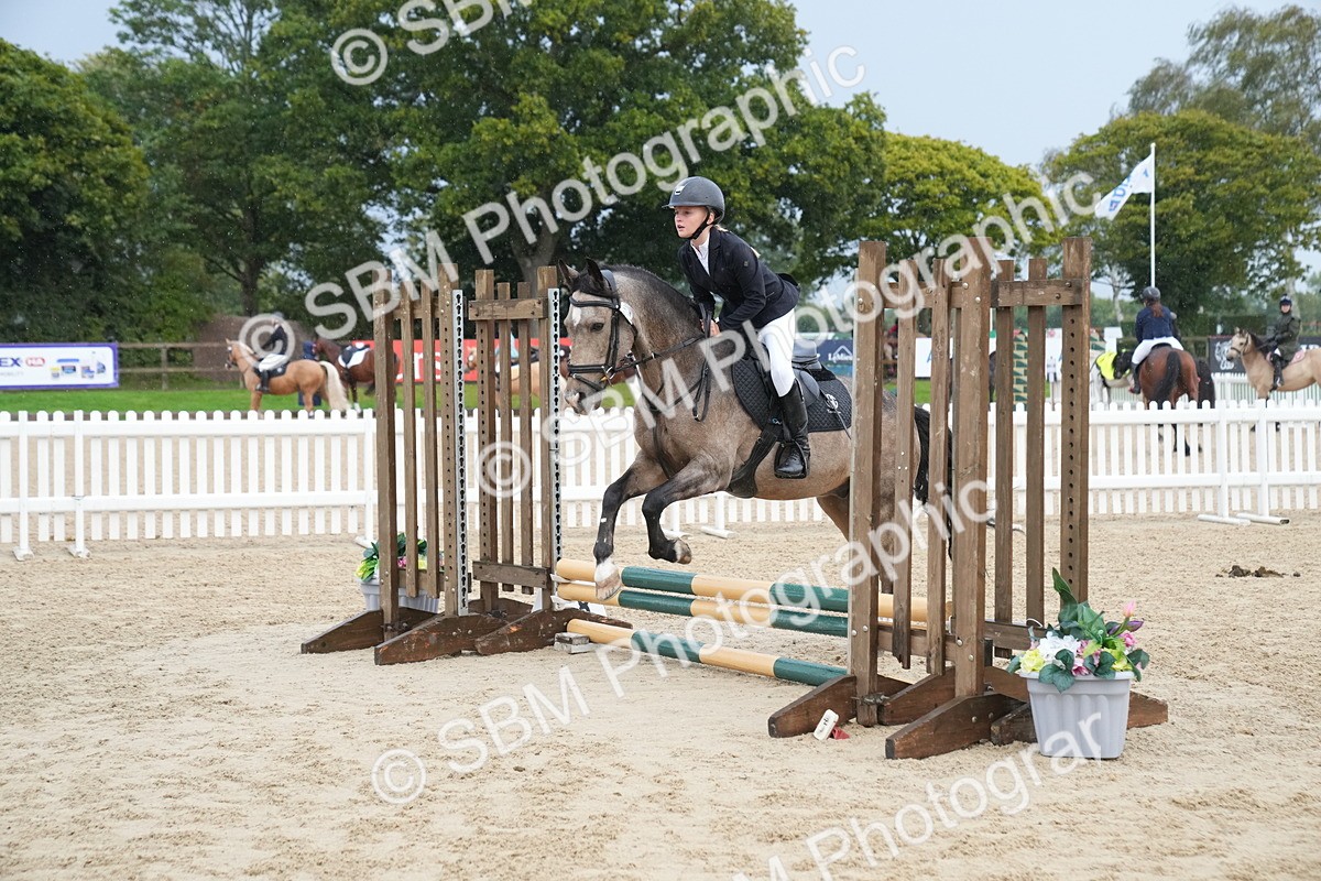 SBM_00215 - J53 - Clear Round 40cm
