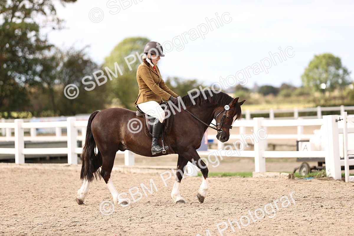 SBM_18138 - Class 423 - Equitation (best rider) Adult