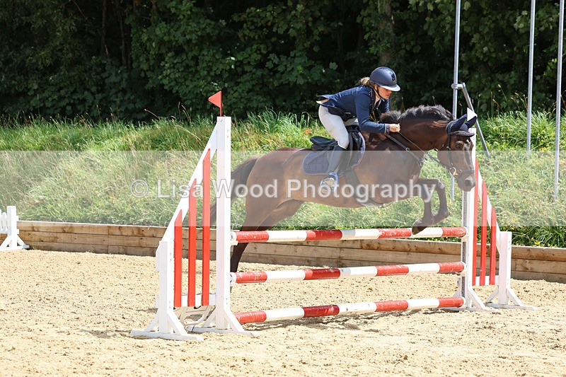 3E7A0403 - Class 9: Senior British Novice/90cm open
