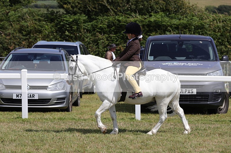 1X9A5354 - Class 37: NPS M&M First Ridden