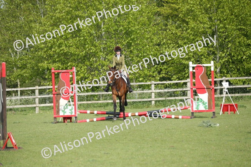 20260426-0076 - Class 13 - Rookie Jumping 50cm