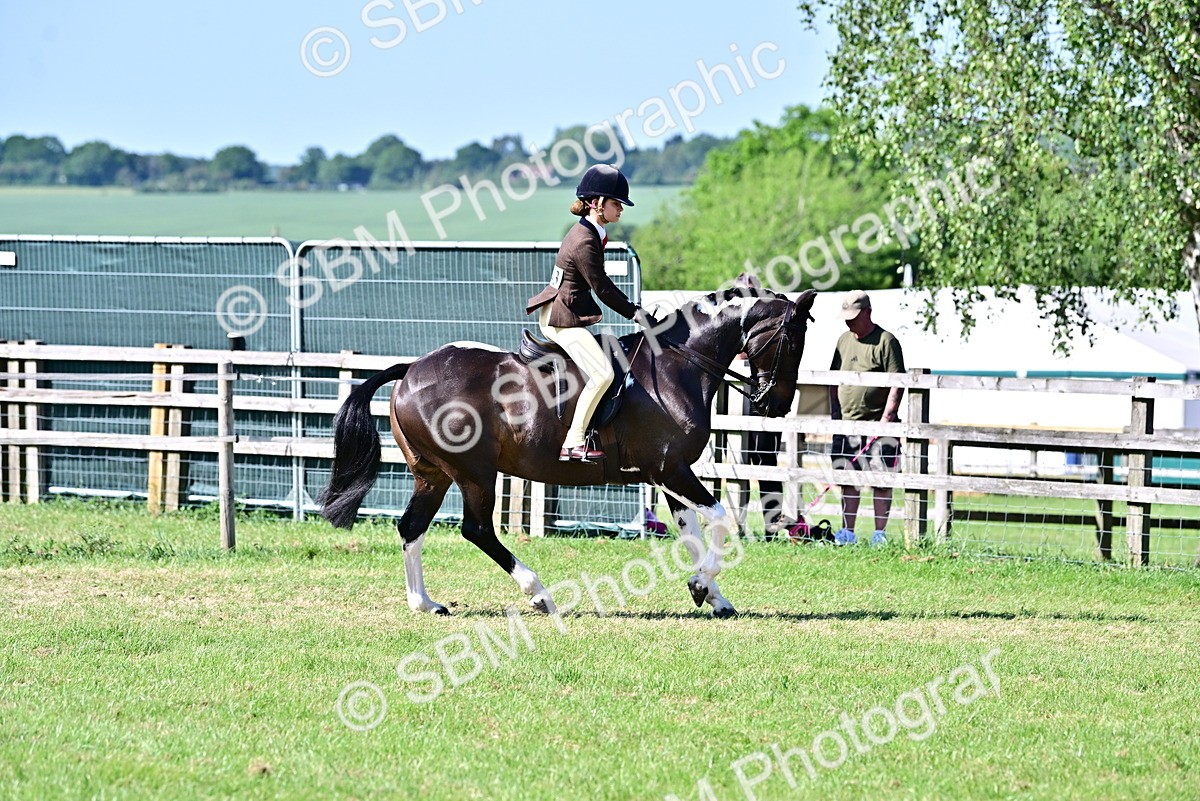 SBM_19492 - Class 101-102 - BSPS LIHS Performance Coloured Horse/Pony