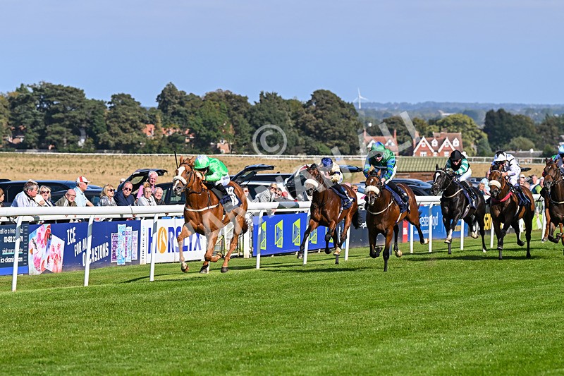 180924-Race 3-Beaujolais Nouveau-4228 - Race 3