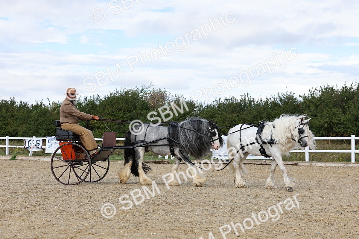 SBM_001204 - Class 16 - Pairs ,Multiples and Tandems