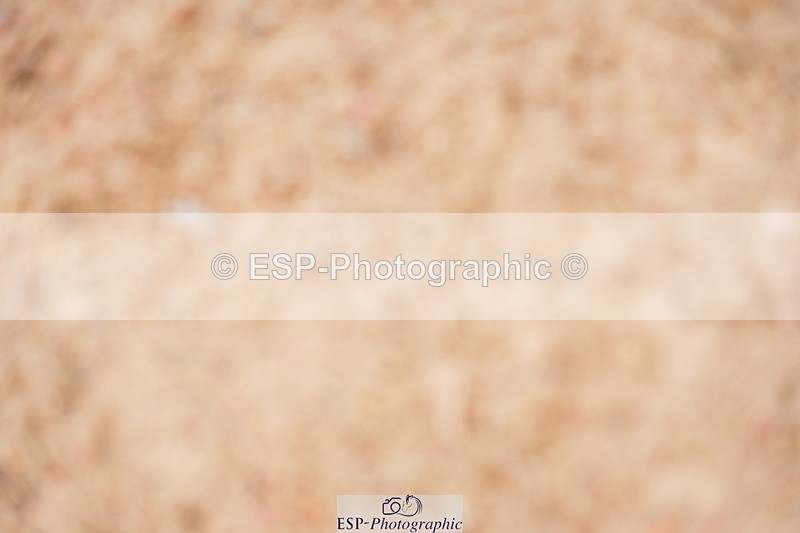 240628A-165630-00307 - Cls 2 Intro 90cm