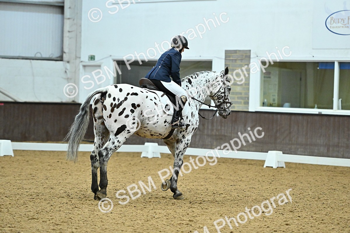 SBM_007520 - Class 81 - Novice 3