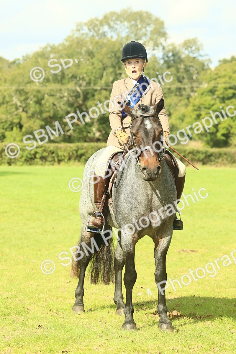 SBM_62687 - S63 - Other Coloured Horse Ridden