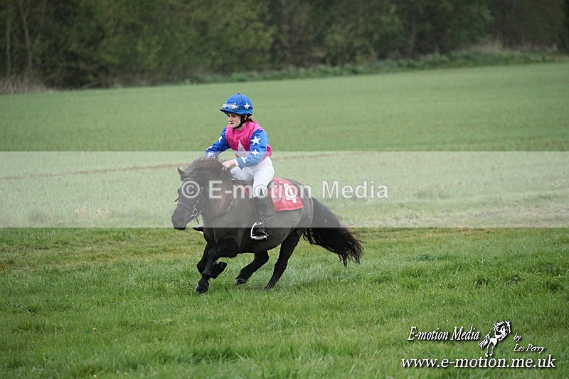 SHETPR 210425 106 - Shetland Ponies Paxford Races 21/04/25